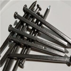Roofing Nails