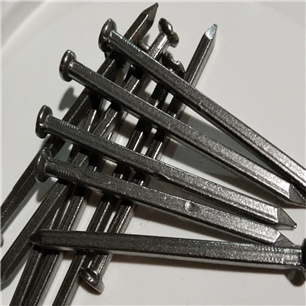 Roofing Nails